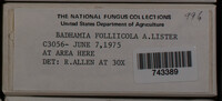 Badhamia foliicola image